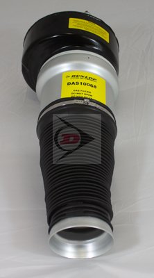 DUNLOP DAS10068