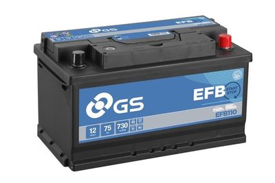 GS EFB110