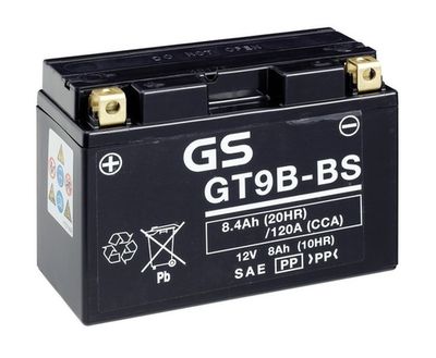 GS GS-GT9B-BS