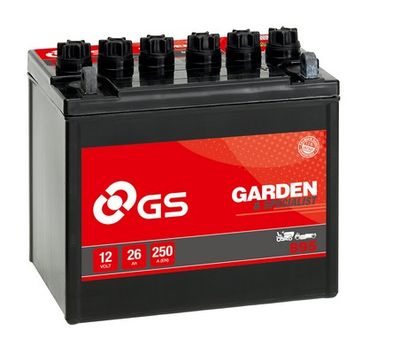 GS GS-895