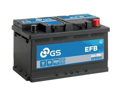 GS EFB100