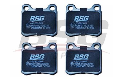 BSG BSG 60-202-009
