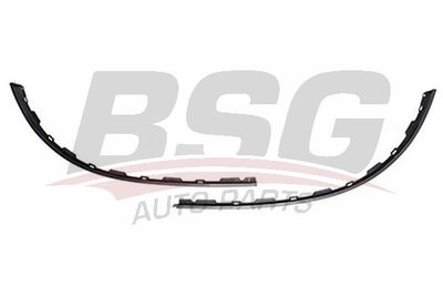 BSG BSG 70-920-006