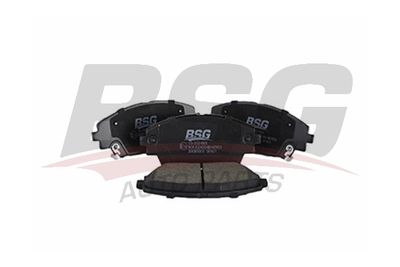 BSG BSG 55-202-001