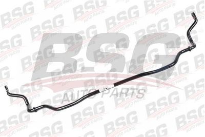 BSG BSG 30-320-003 BSG BSG 30-320-003