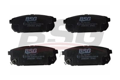 BSG BSG 40-202-001