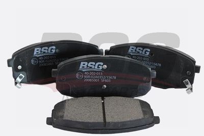 BSG BSG 40-202-013