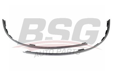 BSG BSG 70-920-007