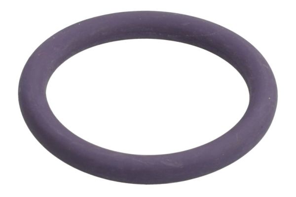 THERMOTEC DCR277TT THERMOTEC DCR277TT
