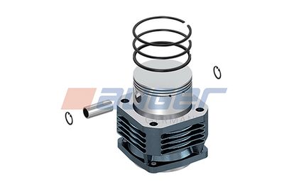AUGER 79577 AUGER 79577