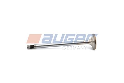 AUGER 106691