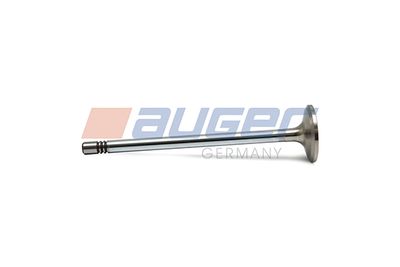 AUGER 106431