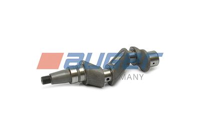 AUGER 79533 AUGER 79533