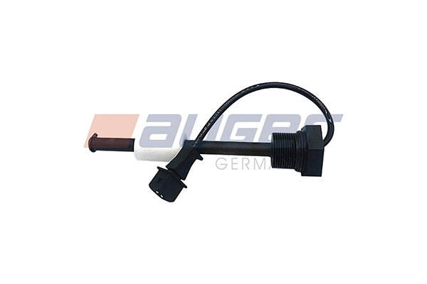 AUGER 122404