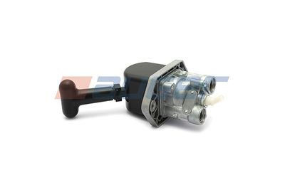 AUGER 101717