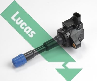 LUCAS DMB1067