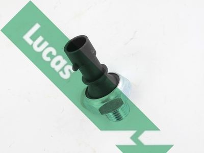 LUCAS SOB709