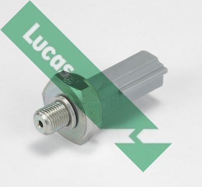 LUCAS SOB570