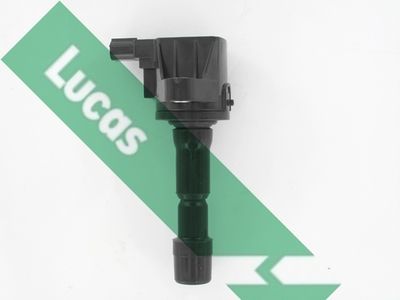 LUCAS DMB5015