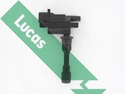 LUCAS DMB1162