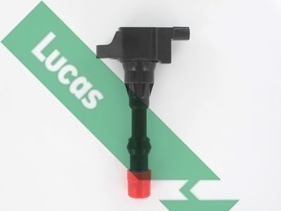 LUCAS DMB1066