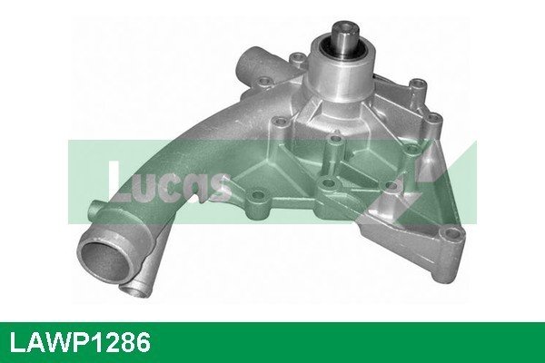 LUCAS LAWP1286