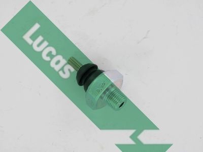 LUCAS SOB111