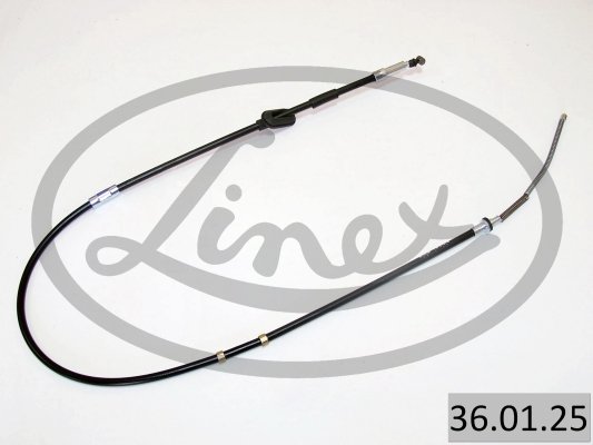 LINEX 36.01.25