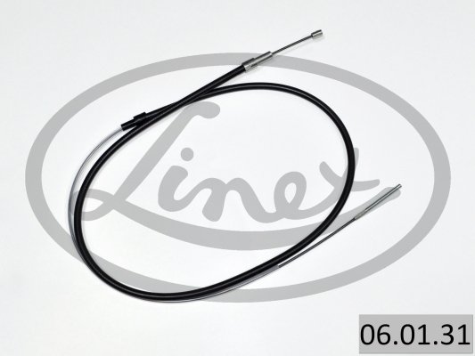 LINEX 06.01.31