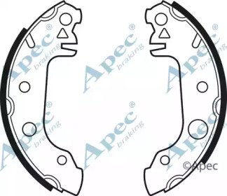 APEC braking SHU100