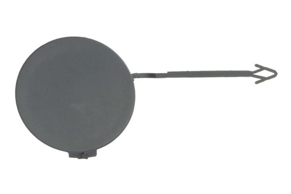 BLIC 5513-00-0029920P