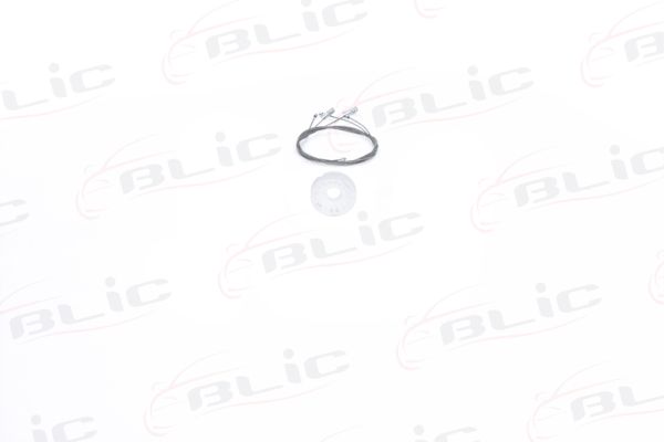 BLIC 6205-43-006812P
