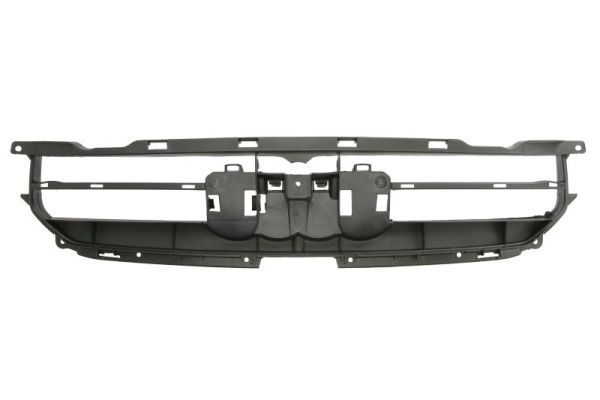 BLIC 6502-07-0029995P