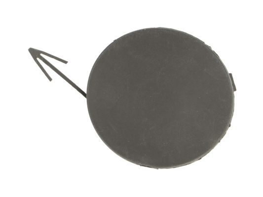 BLIC 5513-00-1617970Q