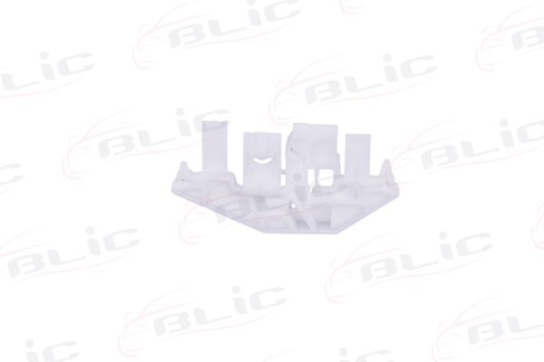 BLIC 6205-08-013821P