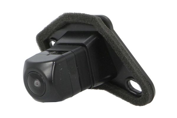 BLIC 6006-00-0034P