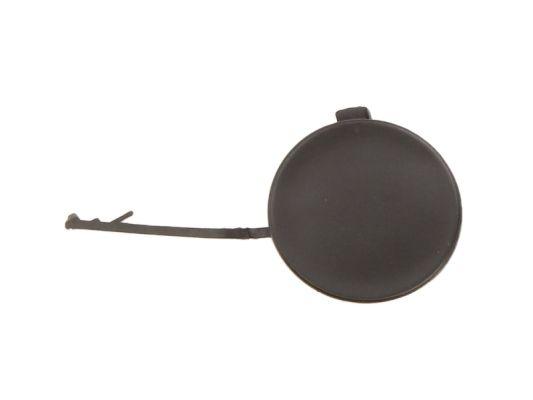 BLIC 5513-00-0029920Q