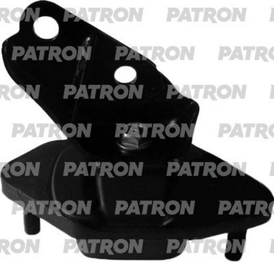 PATRON PSE30587