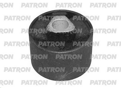 PATRON PSE1195