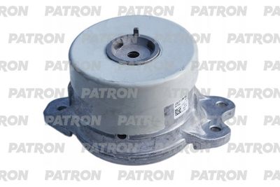 PATRON PSE30931