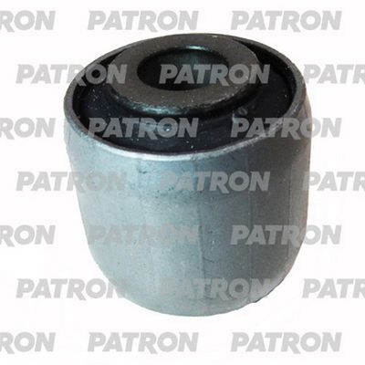 PATRON PSE11098