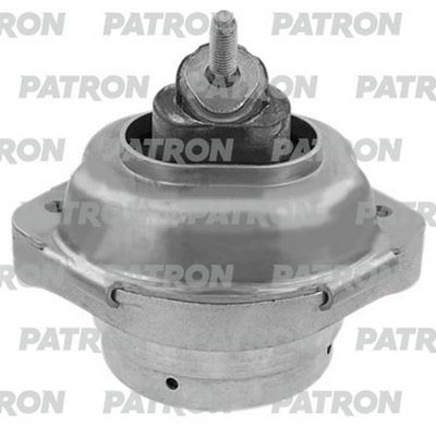 PATRON PSE30394