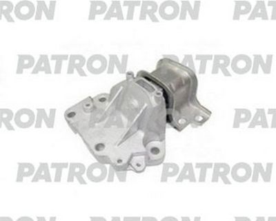 PATRON PSE30493