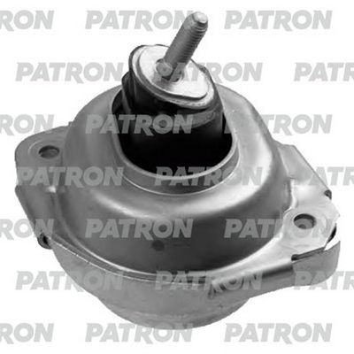 PATRON PSE30389