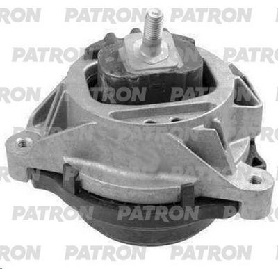 PATRON PSE30577