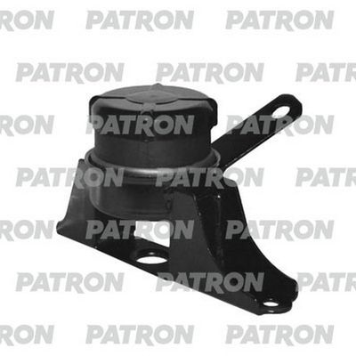 PATRON PSE30362