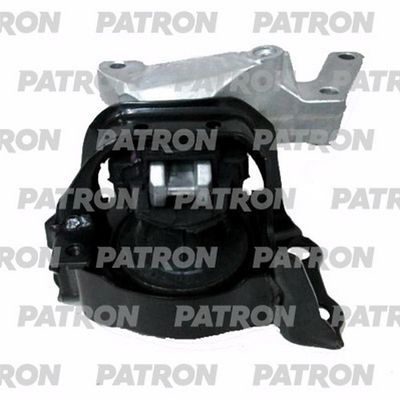 PATRON PSE30247