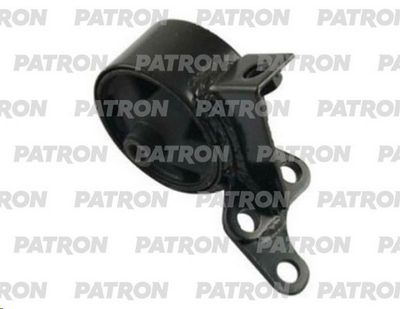 PATRON PSE30209