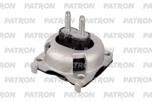 PATRON PSE31145