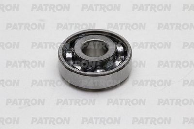PATRON PSE4409